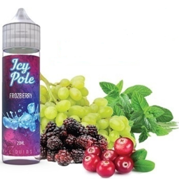 Icy Pole - Frozeberry SnV 20/60ml